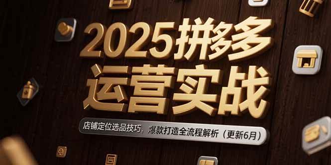 (6.28)2025拼多多运营实战：店铺定位选品技巧，爆款打造全流程解析（更新6月）